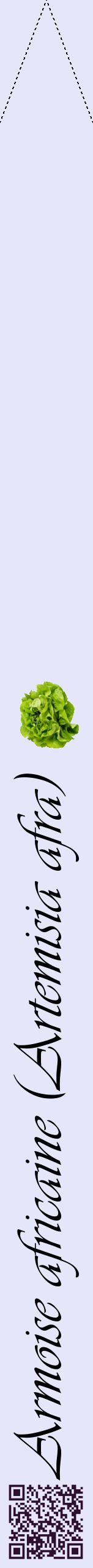 Étiquette de : Artemisia afra - format b - style noire55viv avec qrcode et comestibilité simplifiée