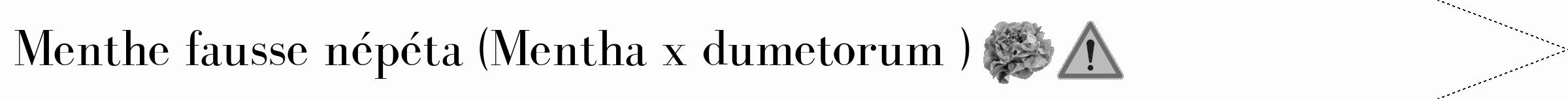 Étiquette de : Mentha x dumetorum  - format b - style noire19bod avec comestibilité simplifiée