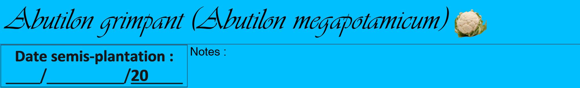 Étiquette de : Abutilon megapotamicum - format a - style noire2viv avec comestibilité simplifiée