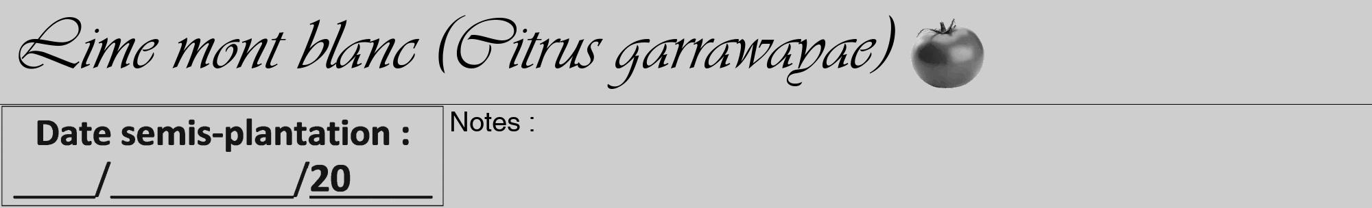 Étiquette de : Citrus garrawayae - format a - style noire17viv avec comestibilité simplifiée