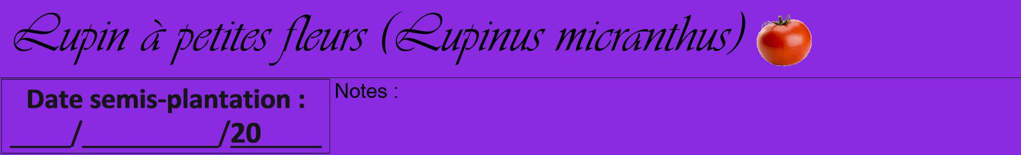 Étiquette de : Lupinus micranthus - format a - style noire49basiqueviv avec comestibilité simplifiée