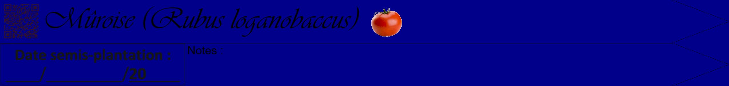 Étiquette de : Rubus loganobaccus - format b - style noire7viv avec qrcode et comestibilité simplifiée