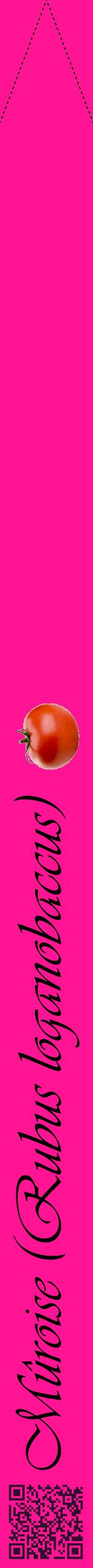 Étiquette de : Rubus loganobaccus - format b - style noire43viv avec qrcode et comestibilité simplifiée