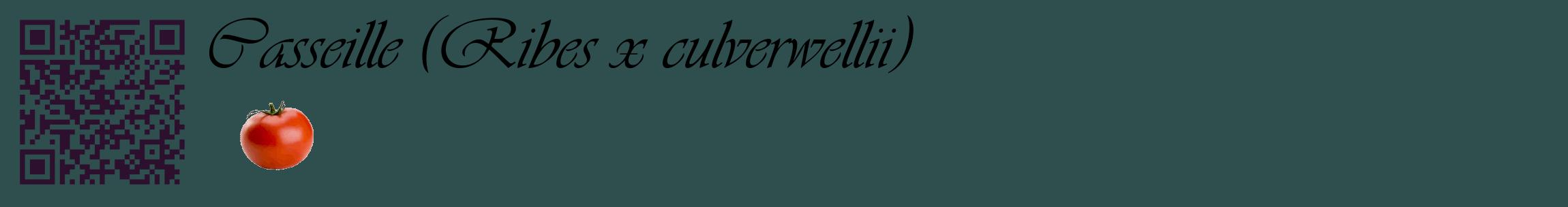 Étiquette de : Ribes x culverwellii - format c - style noire58basique_basique_basiqueviv avec qrcode et comestibilité simplifiée