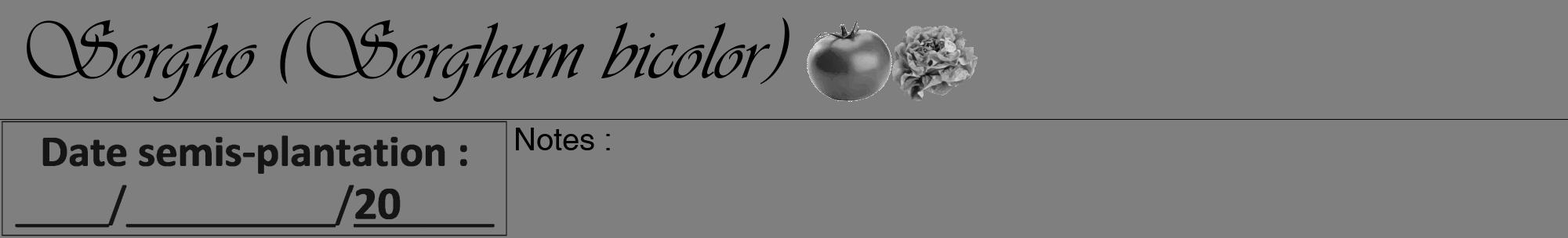 Étiquette de : Sorghum bicolor - format a - style noire31viv avec comestibilité simplifiée