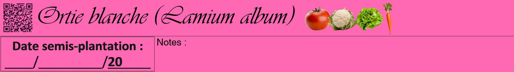 Étiquette de : Lamium album - format a - style noire42viv avec qrcode et comestibilité simplifiée