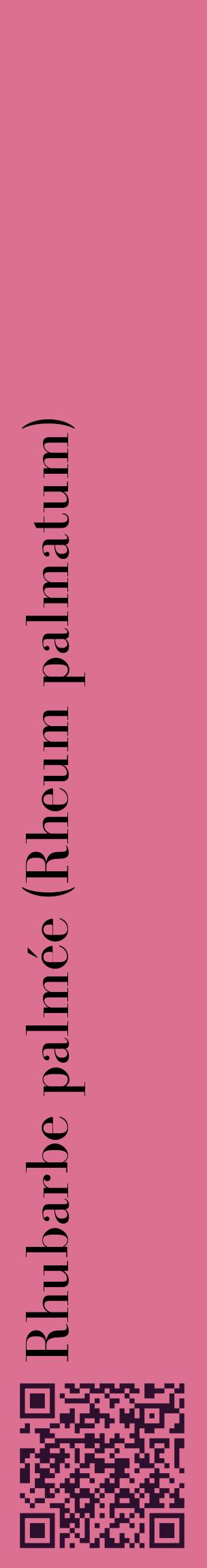 Étiquette de : Rheum palmatum - format c - style noire44_basiquebod avec qrcode et comestibilité