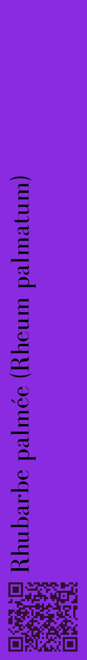 Étiquette de : Rheum palmatum - format c - style noire49_basiquebod avec qrcode et comestibilité
