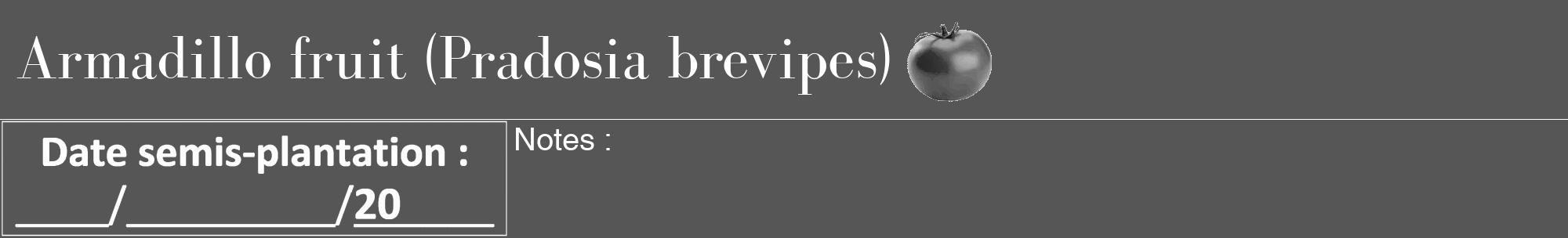 Étiquette de : Pradosia brevipes - format a - style blanche45bod avec comestibilité simplifiée
