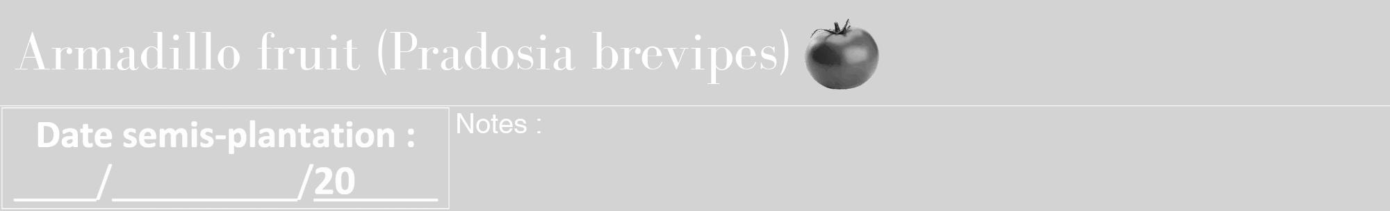 Étiquette de : Pradosia brevipes - format a - style blanche56bod avec comestibilité simplifiée