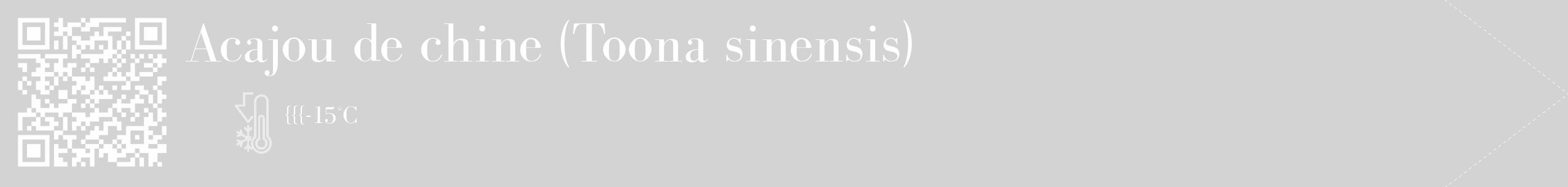 Étiquette de : Toona sinensis - format c - style blanche56_simple_simplebod avec qrcode et comestibilité
