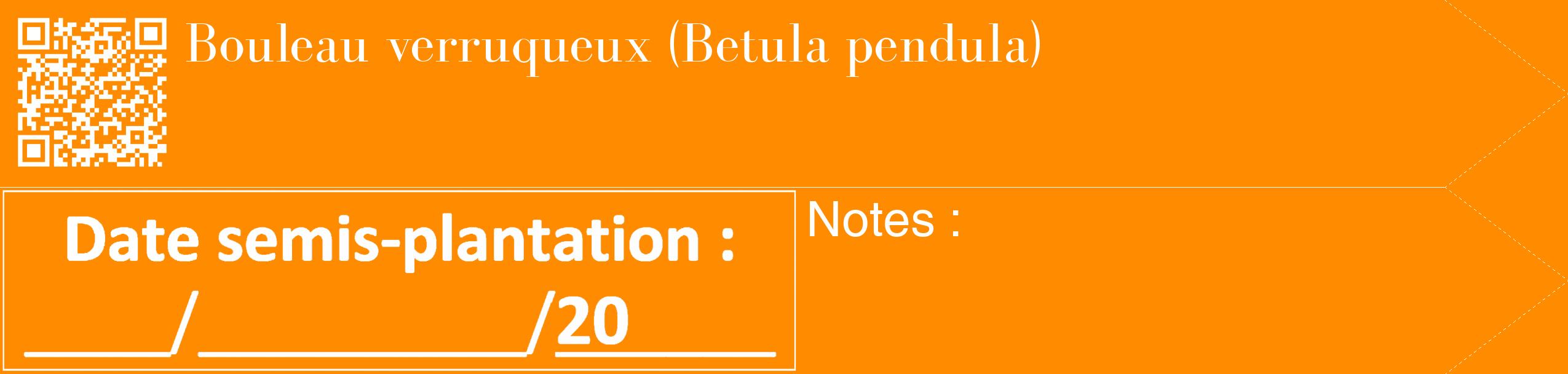 Étiquette de : Betula pendula - format c - style blanche23_simple_simplebod avec qrcode et comestibilité