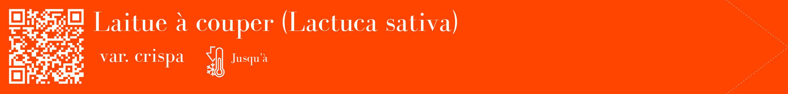 Étiquette de : Lactuca sativa var. crispa - format c - style blanche26_simple_simplebod avec qrcode et comestibilité