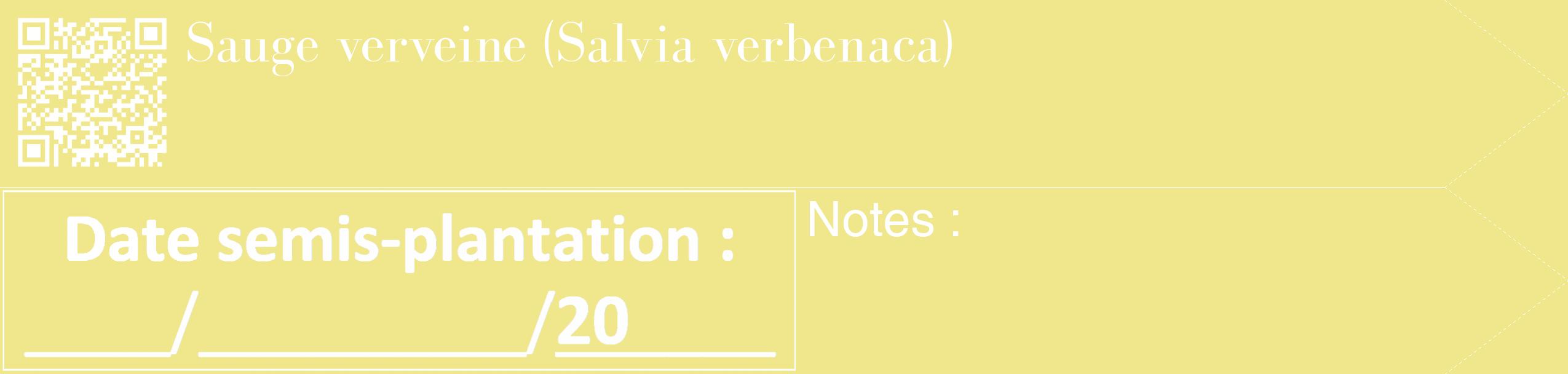 Étiquette de : Salvia verbenaca - format c - style blanche20_simple_simplebod avec qrcode et comestibilité