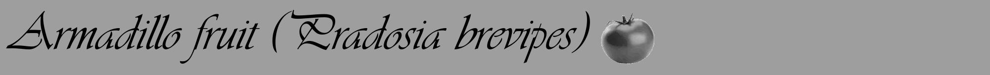 Étiquette de : Pradosia brevipes - format a - style noire23viv avec comestibilité simplifiée