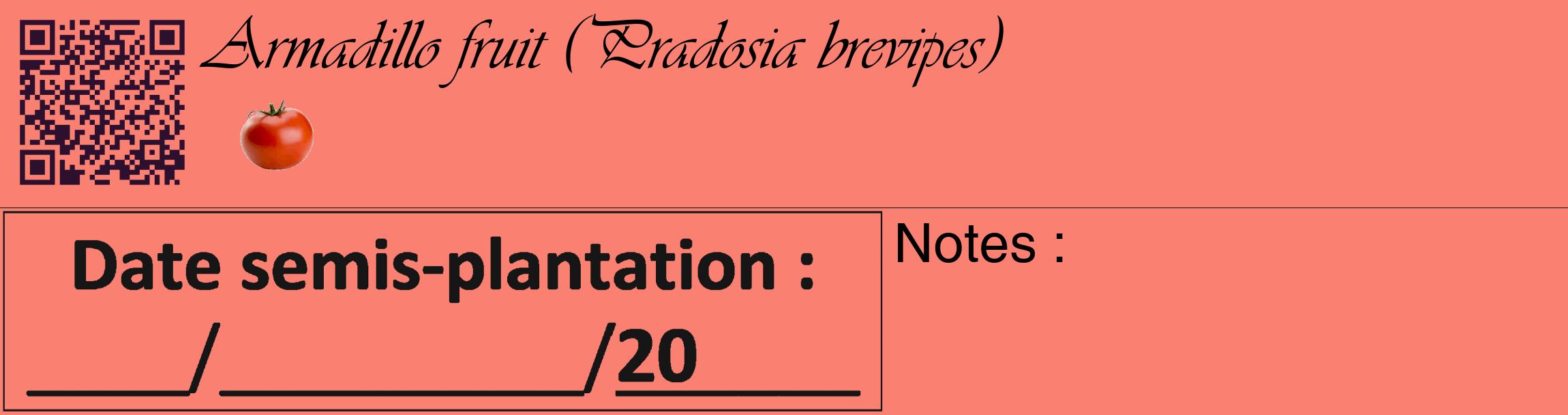 Étiquette de : Pradosia brevipes - format c - style noire38_basique_basiqueviv avec qrcode et comestibilité simplifiée
