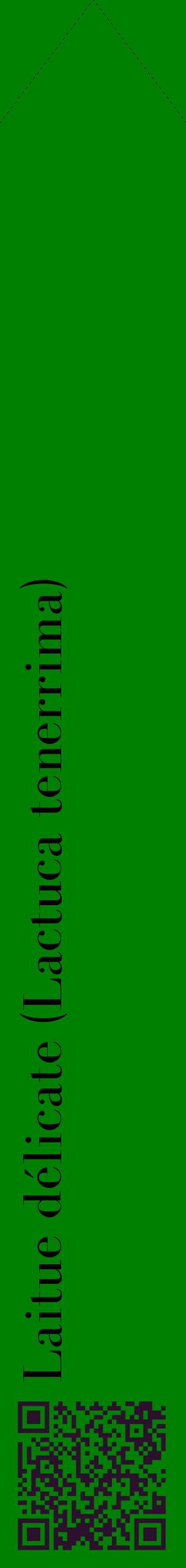 Étiquette de : Lactuca tenerrima - format c - style noire9_simplebod avec qrcode et comestibilité