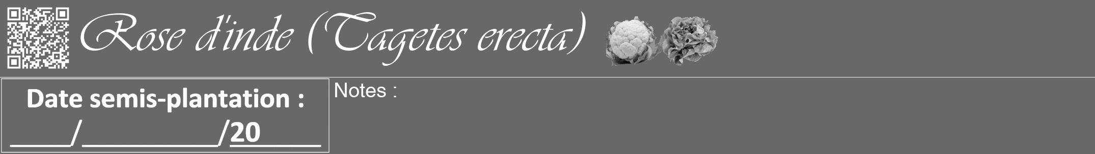 Étiquette de : Tagetes erecta - format a - style blanche6viv avec qrcode et comestibilité simplifiée