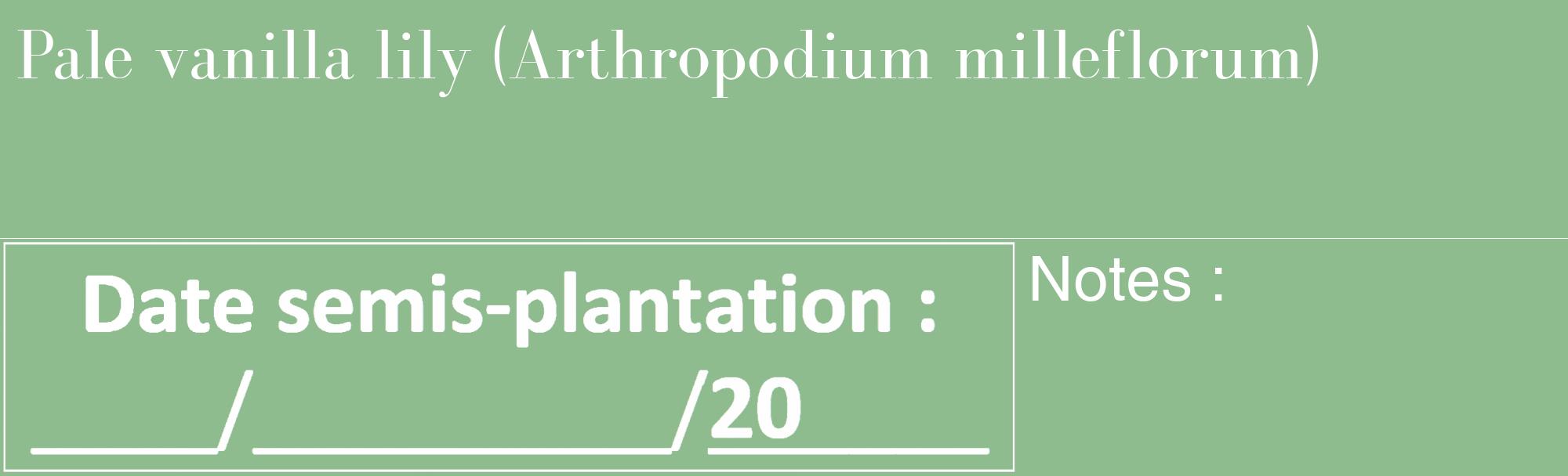 Étiquette de : Arthropodium milleflorum - format c - style blanche13_basique_basiquebod avec comestibilité