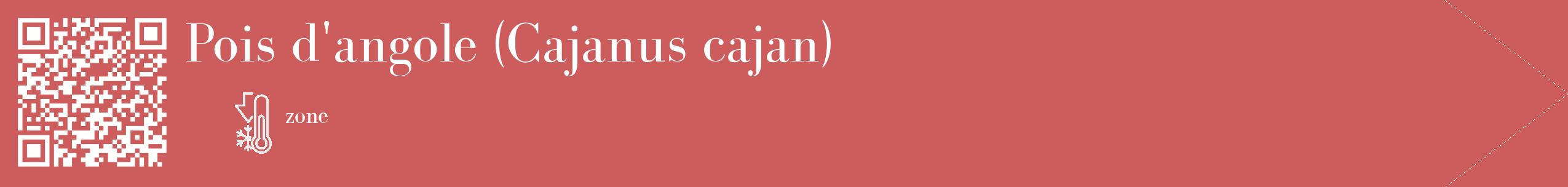 Étiquette de : Cajanus cajan - format c - style blanche35_simple_simplebod avec qrcode et comestibilité