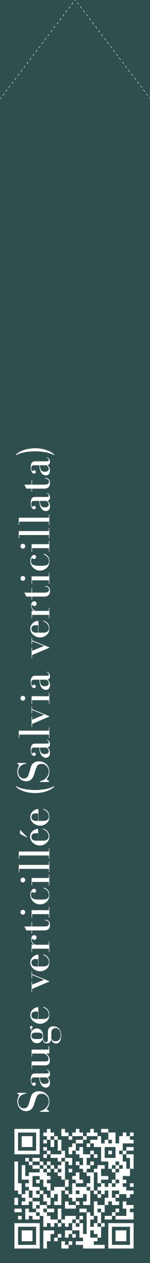 Étiquette de : Salvia verticillata - format c - style blanche58_simplebod avec qrcode et comestibilité