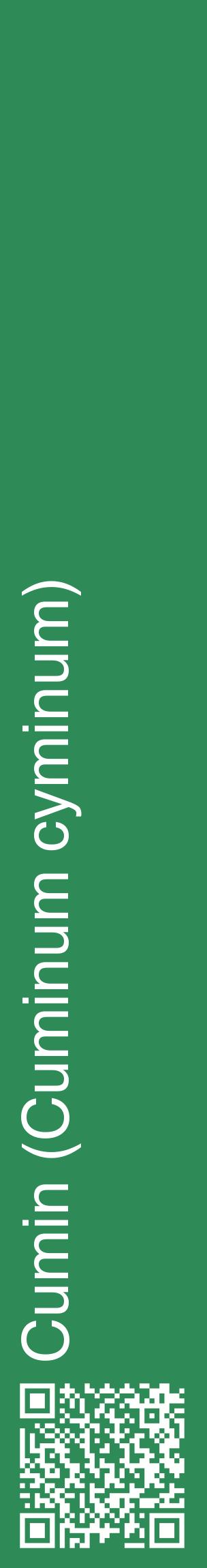 Étiquette de : Cuminum cyminum - format c - style blanche11_basiquehel avec qrcode et comestibilité