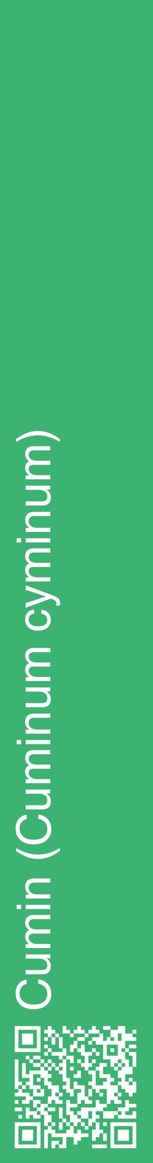 Étiquette de : Cuminum cyminum - format c - style blanche12_basiquehel avec qrcode et comestibilité