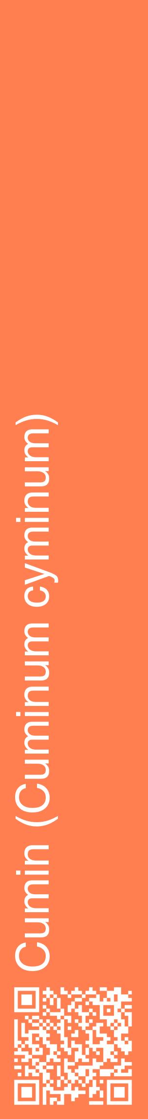 Étiquette de : Cuminum cyminum - format c - style blanche24_basiquehel avec qrcode et comestibilité