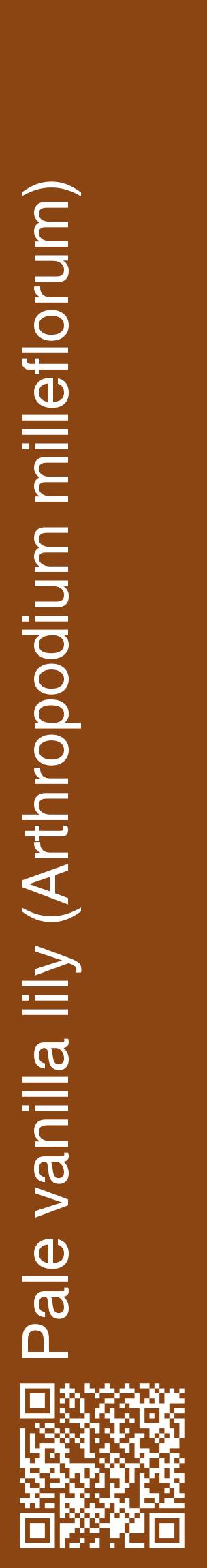 Étiquette de : Arthropodium milleflorum - format c - style blanche30_basiquehel avec qrcode et comestibilité
