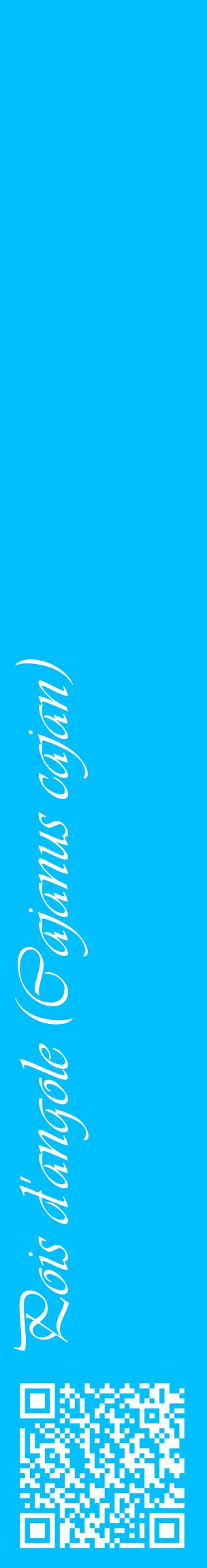 Étiquette de : Cajanus cajan - format c - style blanche2_basiqueviv avec qrcode et comestibilité