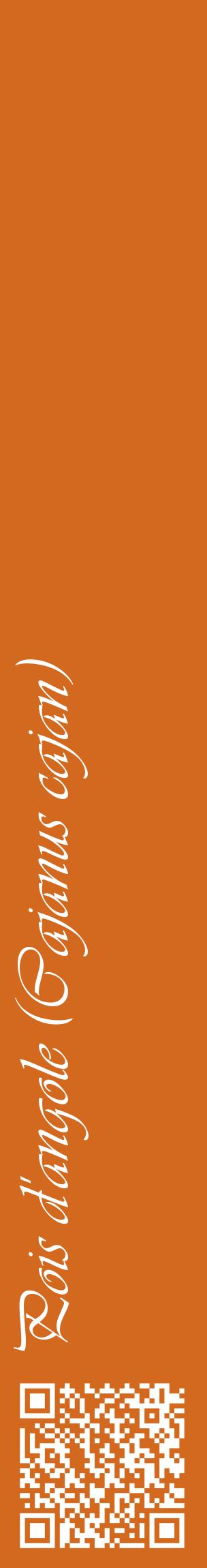 Étiquette de : Cajanus cajan - format c - style blanche31_basiqueviv avec qrcode et comestibilité