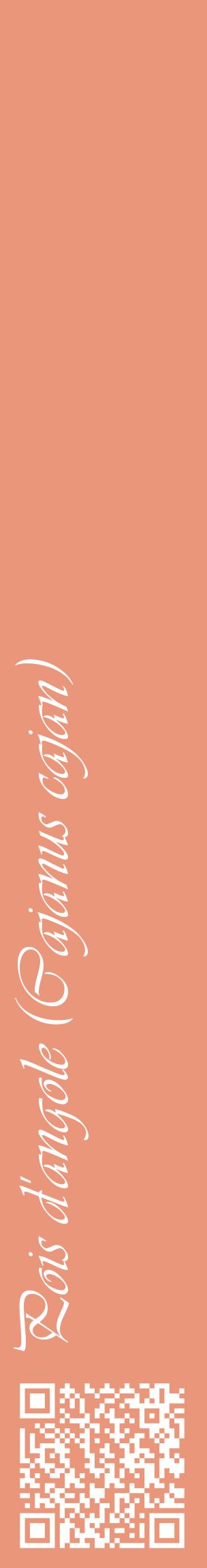 Étiquette de : Cajanus cajan - format c - style blanche37_basiqueviv avec qrcode et comestibilité