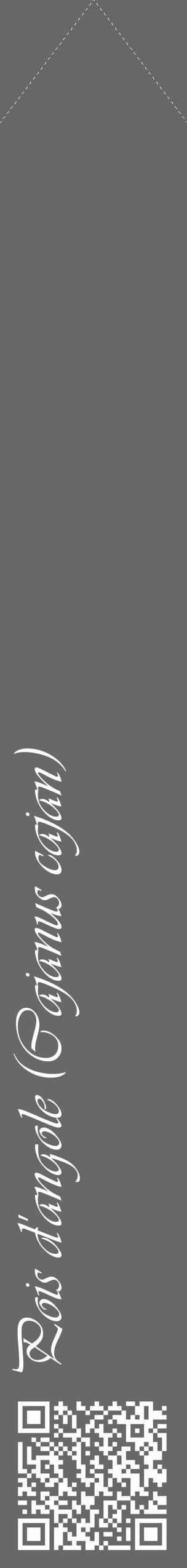 Étiquette de : Cajanus cajan - format c - style blanche6_simple_simpleviv avec qrcode et comestibilité - position verticale