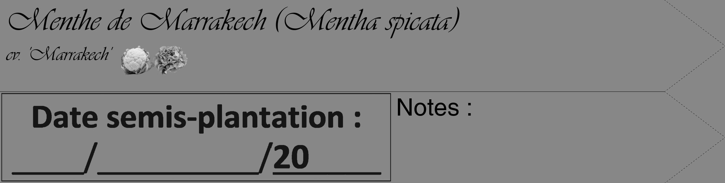 Étiquette de : Mentha spicata cv. 'Marrakech' - format c - style noire12_simple_simpleviv avec comestibilité simplifiée