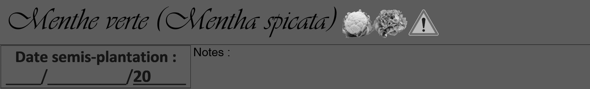 Étiquette de : Mentha spicata - format a - style noire49viv avec comestibilité simplifiée