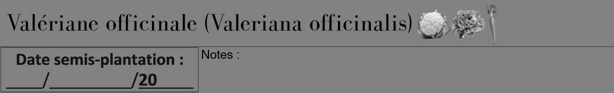 Étiquette de : Valeriana officinalis - format a - style noire50bod avec comestibilité simplifiée