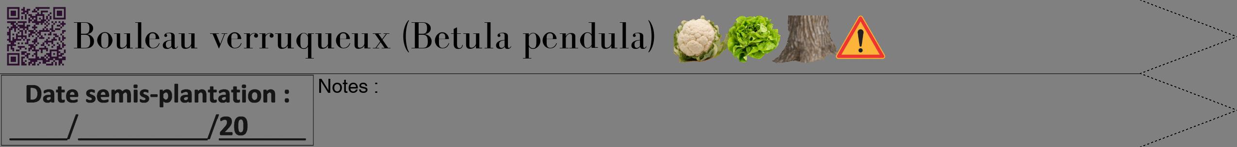 Étiquette de : Betula pendula - format b - style noire57bod avec qrcode et comestibilité simplifiée