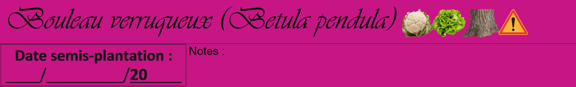 Étiquette de : Betula pendula - format a - style noire45viv avec comestibilité simplifiée