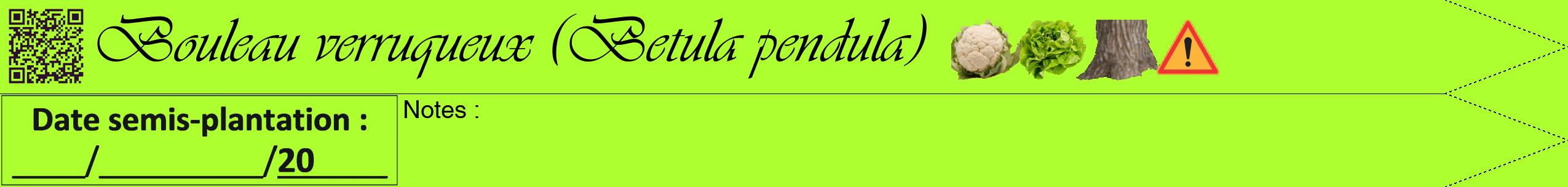 Étiquette de : Betula pendula - format b - style noire17viv avec qrcode et comestibilité simplifiée