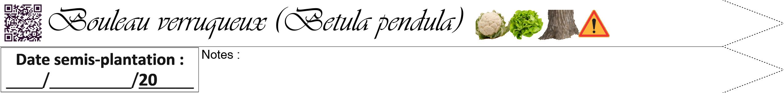 Étiquette de : Betula pendula - format b - style noire60viv avec qrcode et comestibilité simplifiée