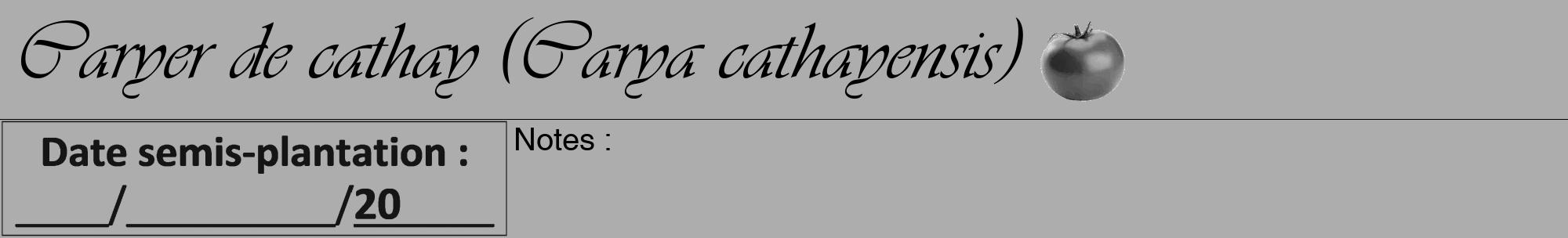 Étiquette de : Carya cathayensis - format a - style noire22viv avec comestibilité simplifiée