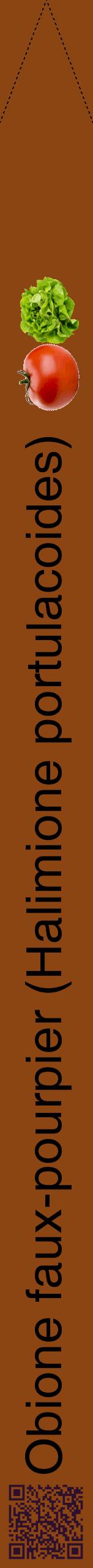 Étiquette de : Halimione portulacoides - format b - style noire30hel avec qrcode et comestibilité simplifiée
