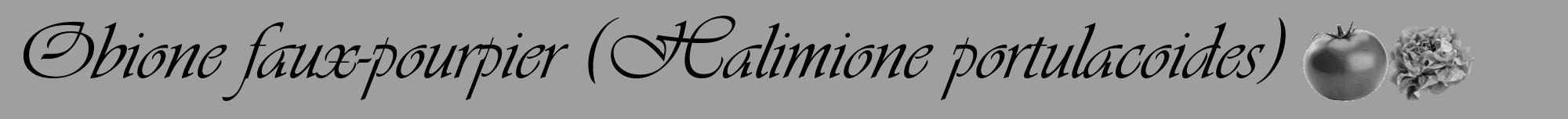 Étiquette de : Halimione portulacoides - format a - style noire24viv avec comestibilité simplifiée