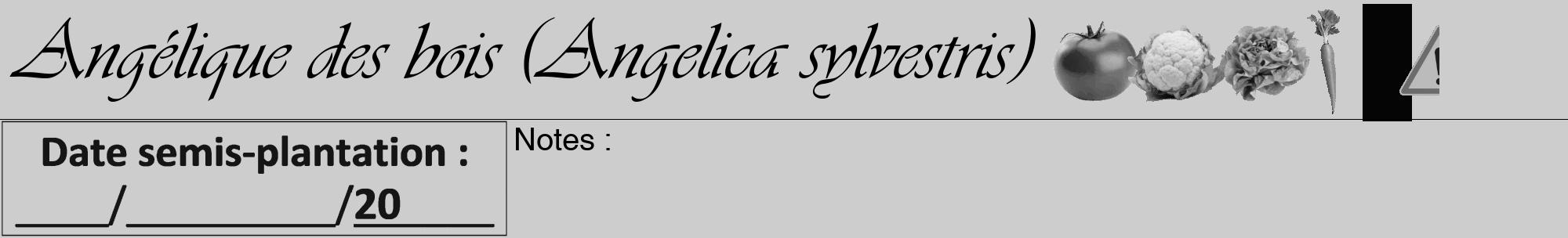 Étiquette de : Angelica sylvestris - format a - style noire41viv avec comestibilité simplifiée