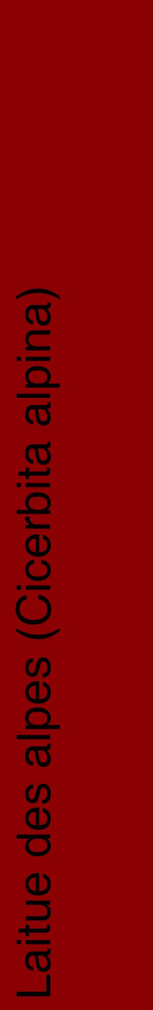 Étiquette de : Cicerbita alpina - format c - style noire34_basiquehel avec comestibilité