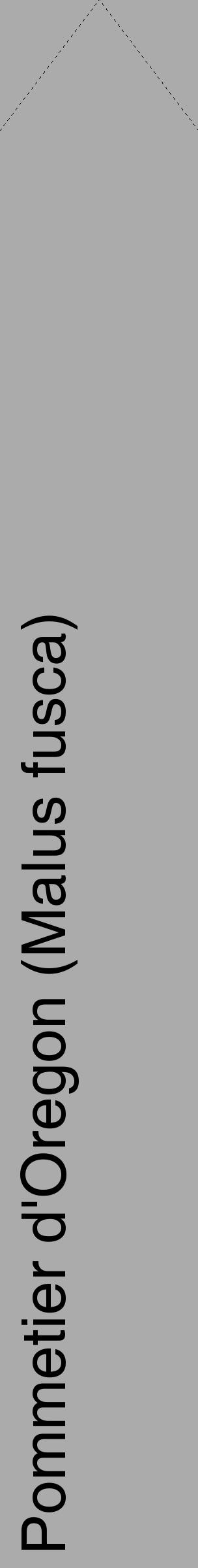 Étiquette de : Malus fusca - format c - style noire37_simple_simplehel avec comestibilité - position verticale