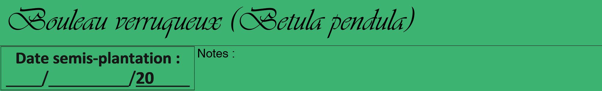 Étiquette de : Betula pendula - format a - style noire12viv avec comestibilité
