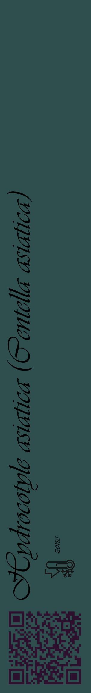Étiquette de : Centella asiatica - format c - style noire58_basique_basiqueviv avec qrcode et comestibilité - position verticale