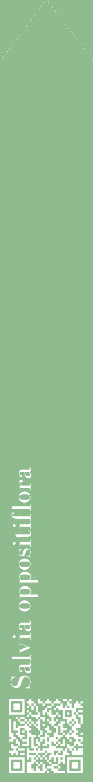 Étiquette de : Salvia oppositiflora - format c - style blanche13_simplebod avec qrcode et comestibilité
