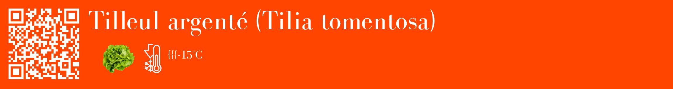 Étiquette de : Tilia tomentosa - format c - style blanche26_basique_basiquebod avec qrcode et comestibilité simplifiée